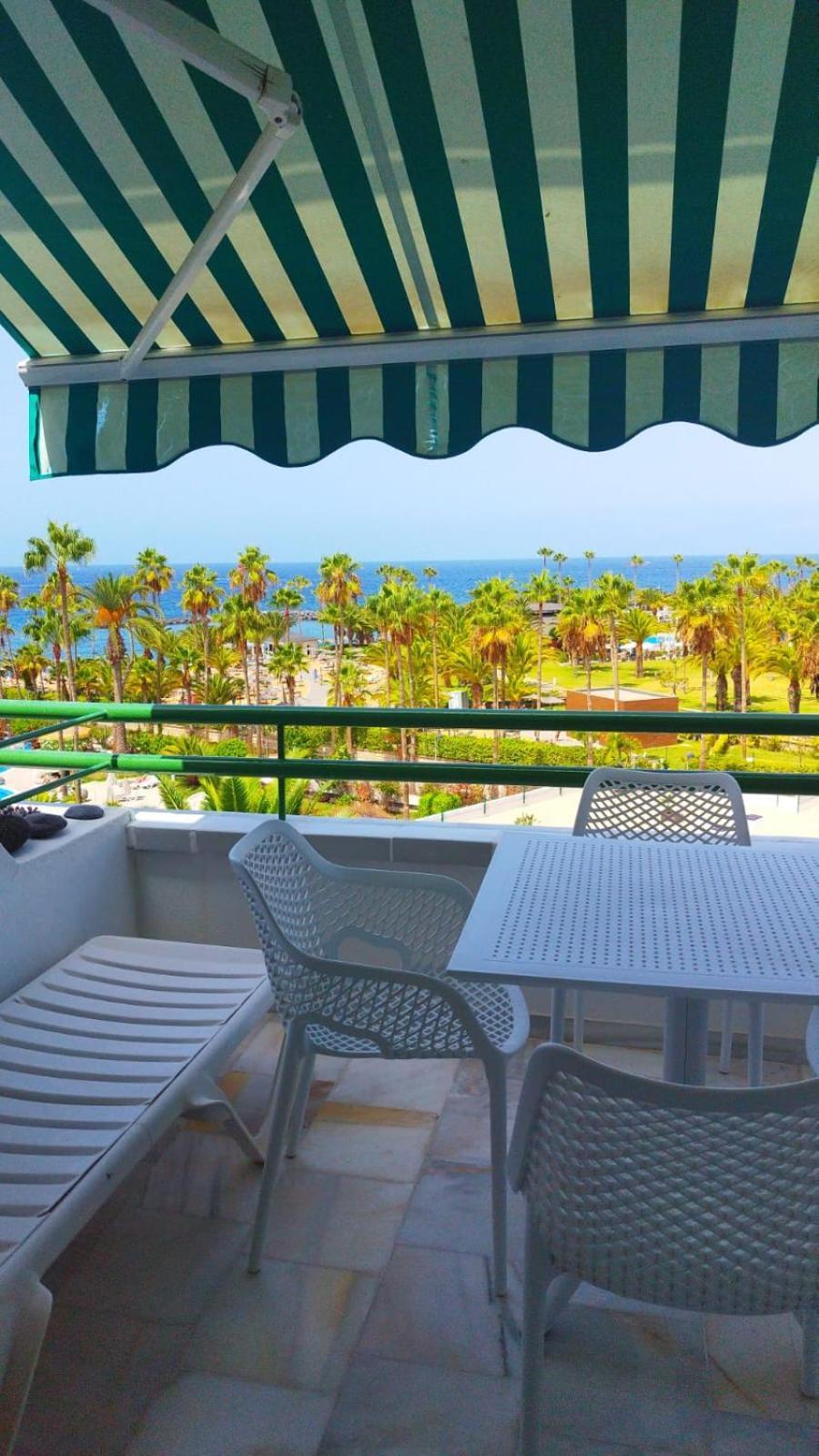 Graceful Brand New Studios In Altamira Costa Adeje  Room photo